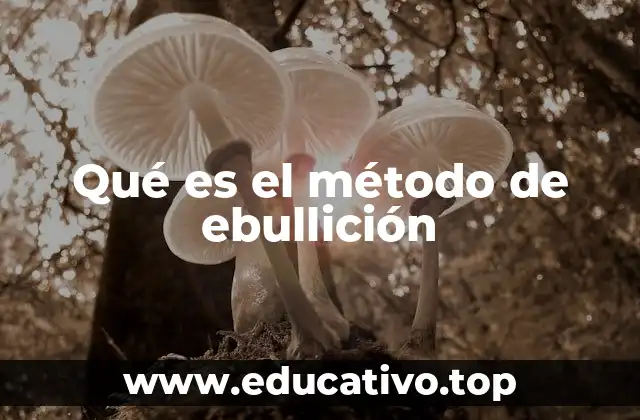 Qué es el método de ebullición