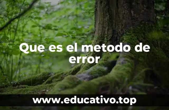 Que es el metodo de error