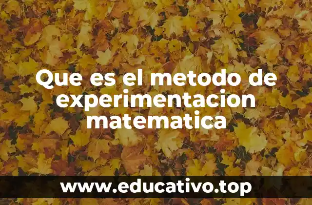 Que es el metodo de experimentacion matematica
