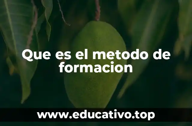 Que es el metodo de formacion