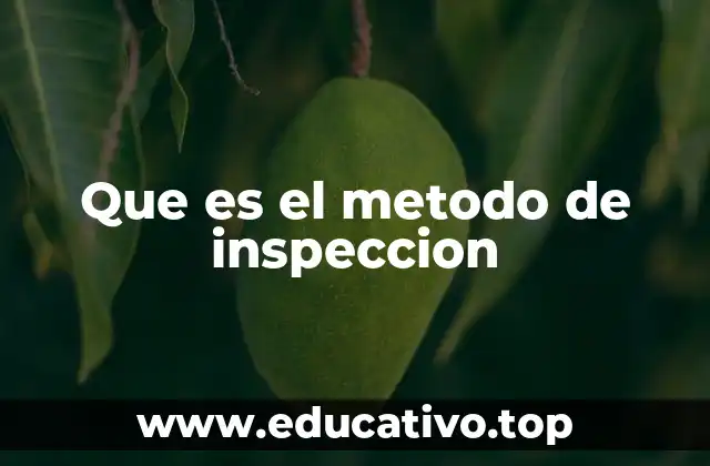 Que es el metodo de inspeccion