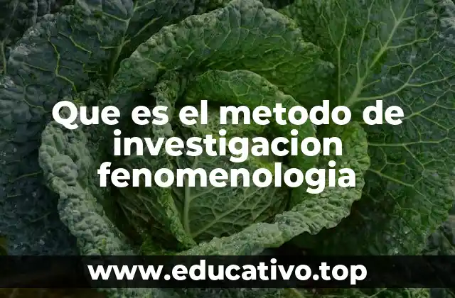 Que es el metodo de investigacion fenomenologia