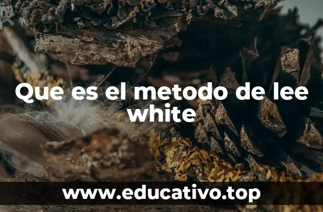 Que es el metodo de lee white