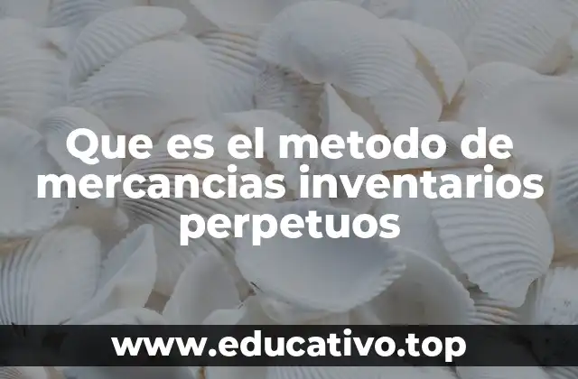 Que es el metodo de mercancias inventarios perpetuos