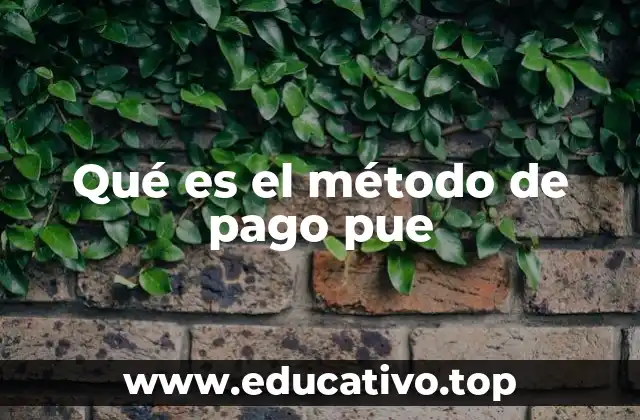 Qué es el método de pago pue