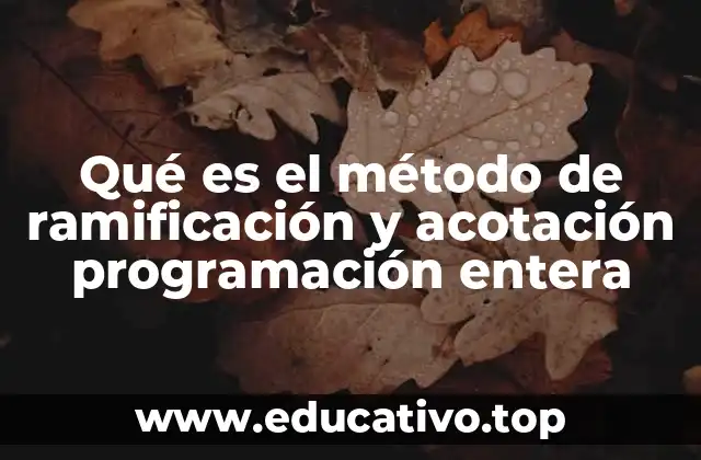 Qué es el método de ramificación y acotación programación entera