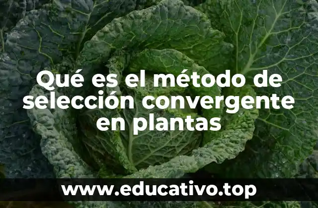 Qué es el método de selección convergente en plantas