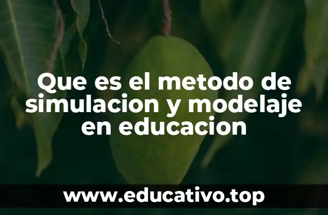 Que es el metodo de simulacion y modelaje en educacion