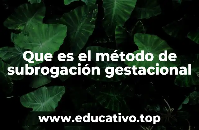 Que es el método de subrogación gestacional