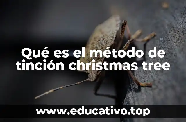 Aplicaciones del método de tinción Christmas Tree en la programación