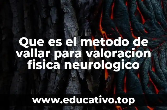 Que es el metodo de vallar para valoracion fisica neurologico