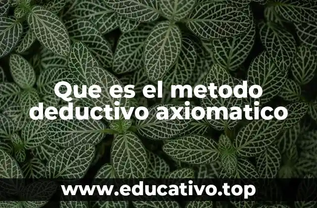 Que es el metodo deductivo axiomatico