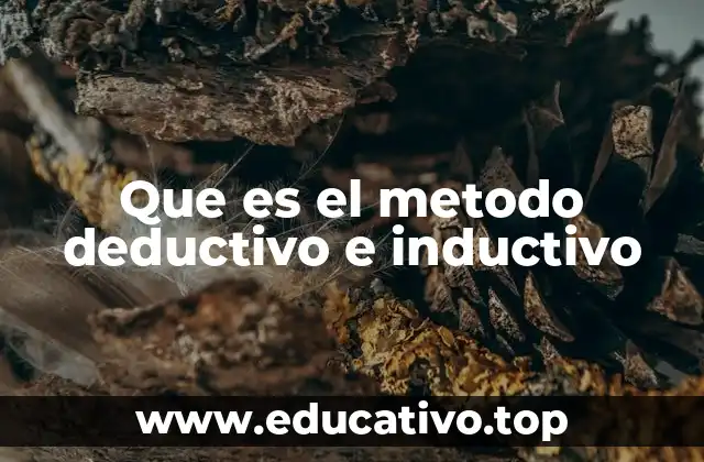 Que es el metodo deductivo e inductivo
