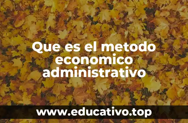 Que es el metodo economico administrativo