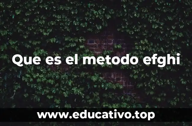 Que es el metodo efghi