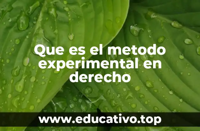 Que es el metodo experimental en derecho