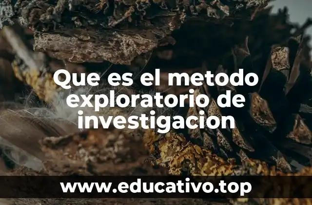 Que es el metodo exploratorio de investigacion