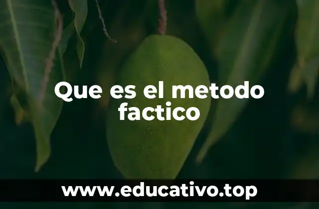 Que es el metodo factico