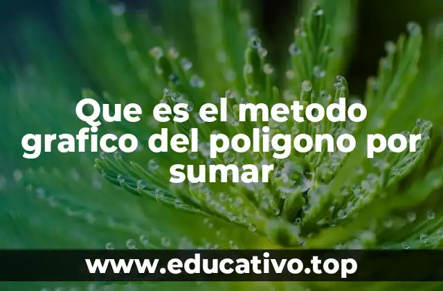 Que es el metodo grafico del poligono por sumar