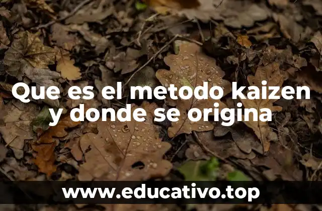 Que es el metodo kaizen y donde se origina