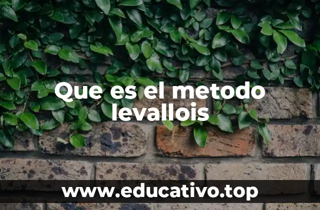 Que es el metodo levallois