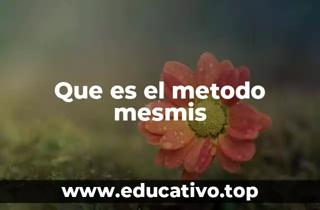 El enfoque del MesMis como herramienta de planificación operativa