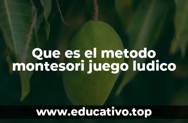Que es el metodo montesori juego ludico
