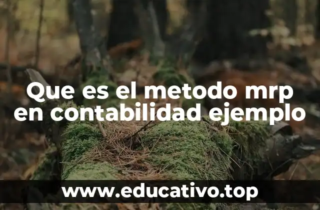 Que es el metodo mrp en contabilidad ejemplo