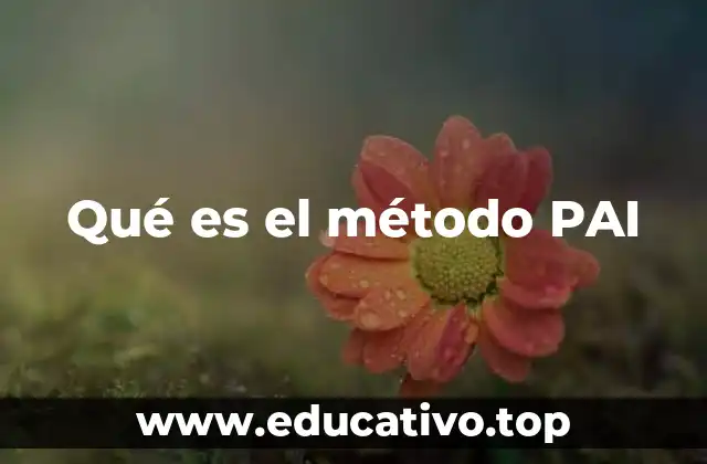 Qué es el método PAI