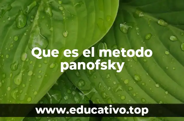 Que es el metodo panofsky