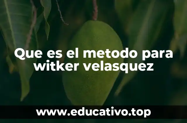 Que es el metodo para witker velasquez