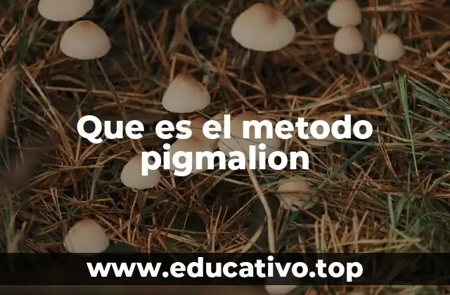 Que es el metodo pigmalion