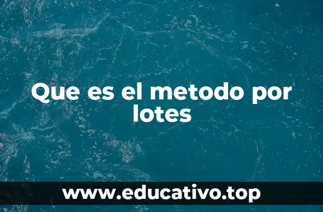 Que es el metodo por lotes