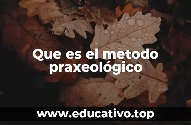 Que es el metodo praxeológico