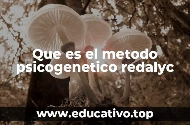 Que es el metodo psicogenetico redalyc