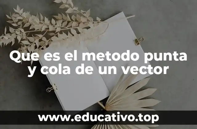 Que es el metodo punta y cola de un vector