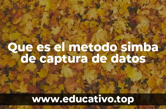 Que es el metodo simba de captura de datos