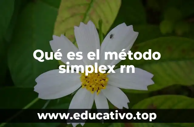Qué es el método simplex rn