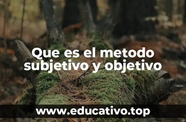 Que es el metodo subjetivo y objetivo