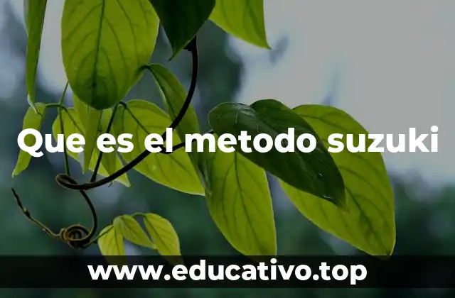 Que es el metodo suzuki