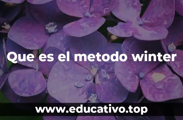 Que es el metodo winter