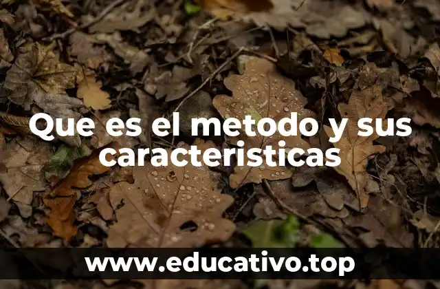 La importancia del enfoque estructurado en el desarrollo del conocimiento