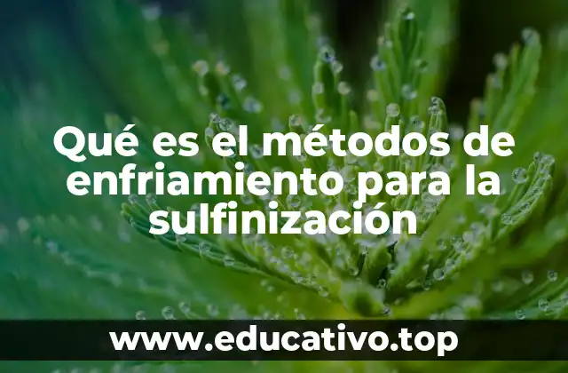 La importancia del control térmico en reacciones químicas