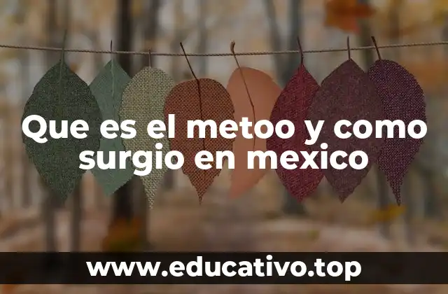 Que es el metoo y como surgio en mexico