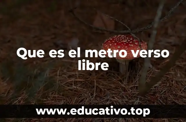 Que es el metro verso libre