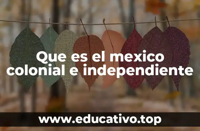 Transformaciones sociales y culturales en el México colonial
