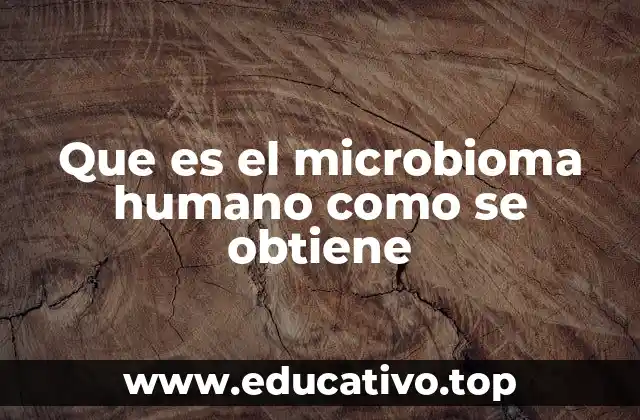 Que es el microbioma humano como se obtiene