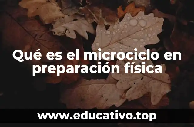 Qué es el microciclo en preparación física