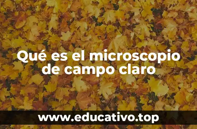 Qué es el microscopio de campo claro