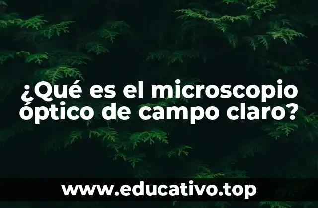 ¿Qué es el microscopio óptico de campo claro?